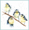 Sweet Tweet (Counted Cross Stitch Kit)